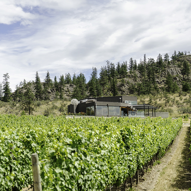 Our-Style-Winery